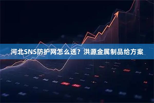 河北SNS防护网怎么选？洪源金属制品给方案