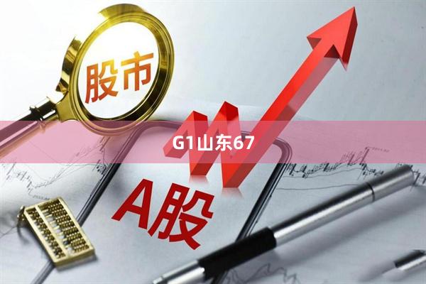 G1山东67